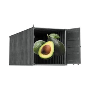 Premium Colombian Hass Avocado Container