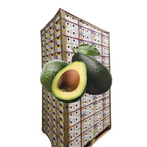 Premium Colombian Hass Avocado Pallet