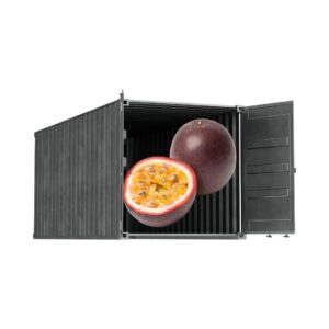 Purple Passion Fruit Container